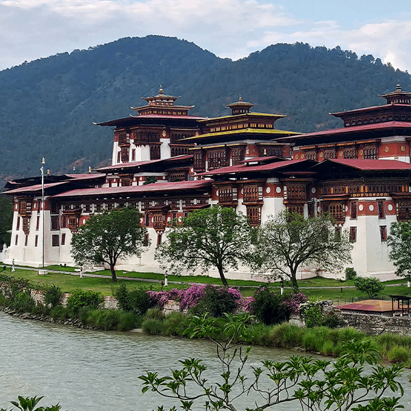 Bhutan Bridal Delights 7 Days